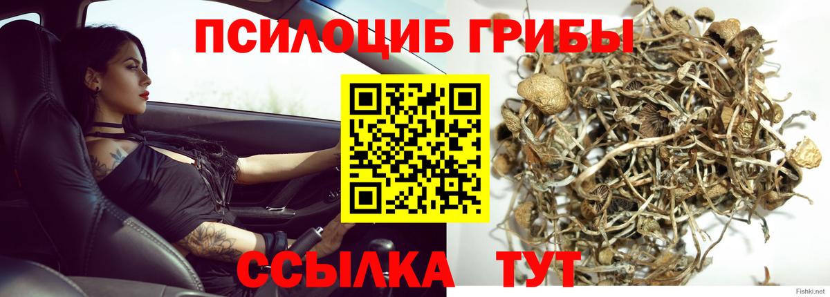 Галлюциногенные грибы мухоморы  Вход с VPN  Псилоцибиновые грибы Psilocybine cubensis  Энгельс 